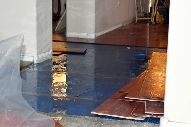 Professional Flood Cleanup technician working in Chestnut Hill, MA